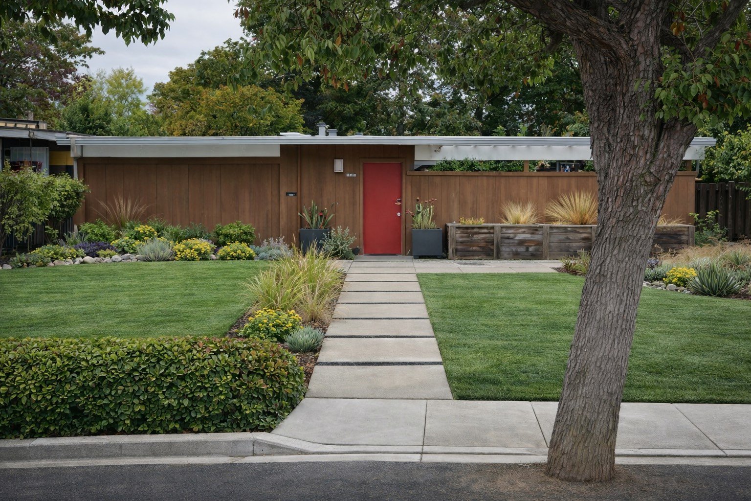 A redwood-sided Eichler in a Cupertino neighborhood with a bright red front door and a mature shade tree out front